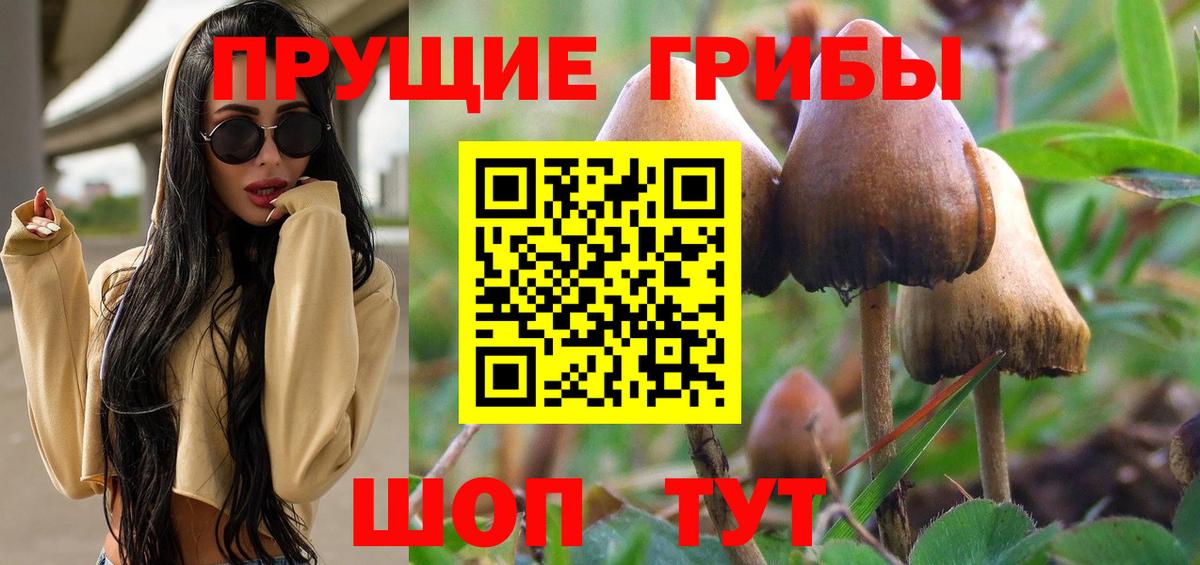 Бугуруслан  Псилоцибиновые грибы мицелий  Псилоцибиновые грибы Psilocybine cubensis  Вход с VPN 